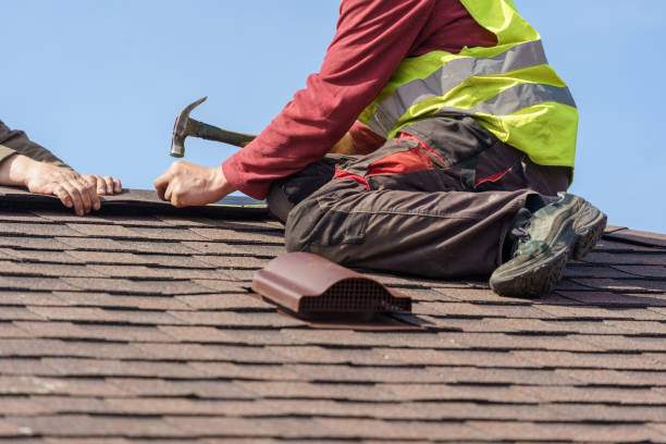 Best Roof Gutter Cleaning  in Wilson, WY
