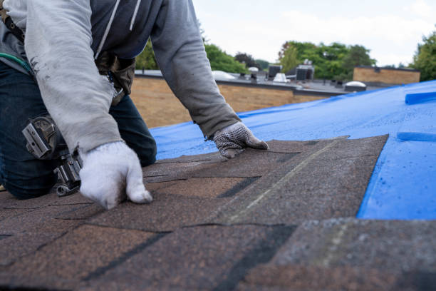 Best Shingle Roofing Installation  in Wilson, WY