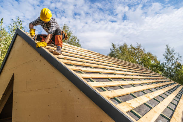 Best Roof Gutter Cleaning  in Wilson, WY