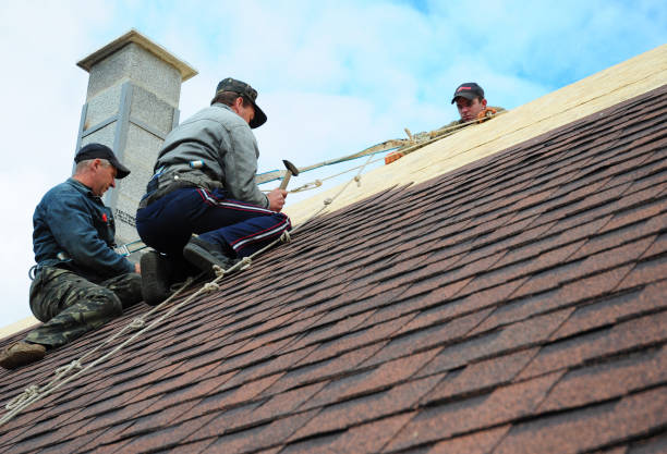 Best Local Roofing Companies  in Wilson, WY