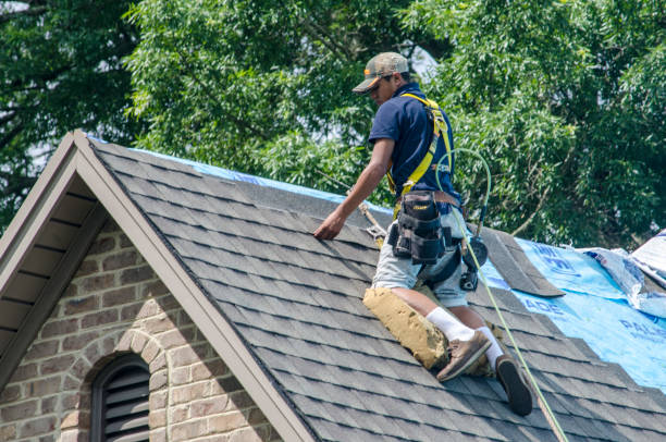 Best Roof Repair Services  in Wilson, WY